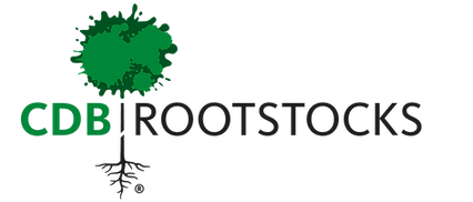 CDB Rootstocks